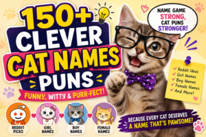150+ Clever Cat Names Puns
