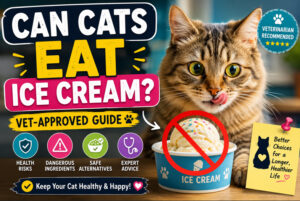Can Cats Eat Ice Cream